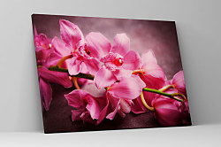 Obraz Kúzelná orchidea zs1115